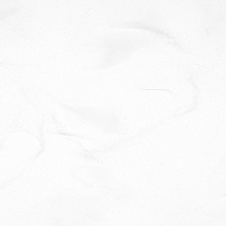 Downy White SF100